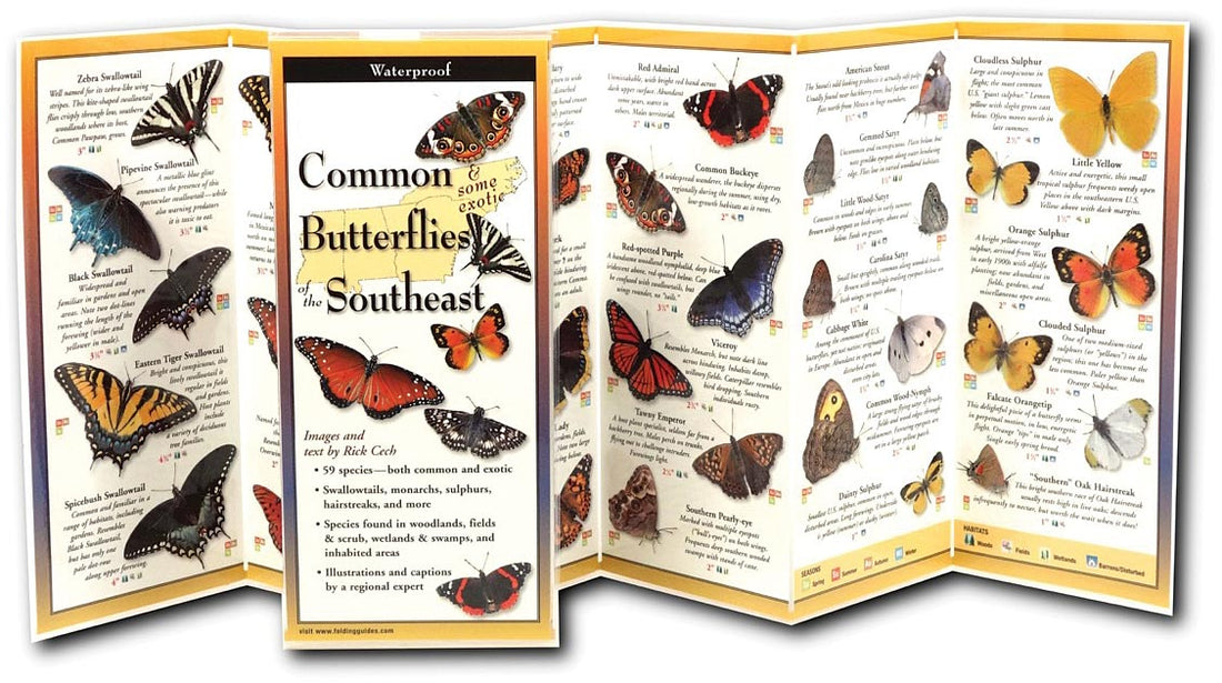 Earth Sky+Water Butterflies Southeast Guide
