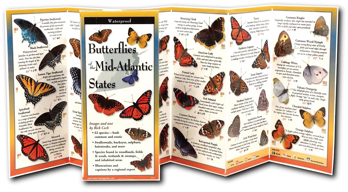 Earth Sky+Water Butterflies Mid Atlantic Guide