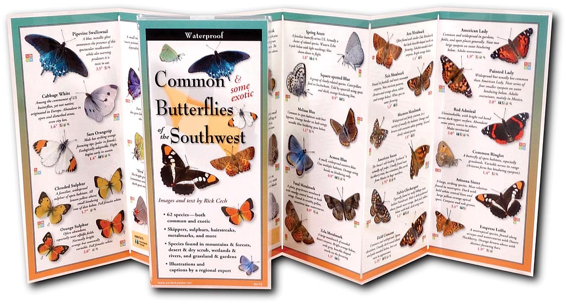 Earth Sky+Water Butterflies Southwest Guide