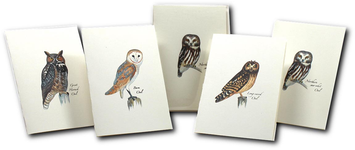 Earth Sky+Water Owl Notecards - Perfect for Any Occasion