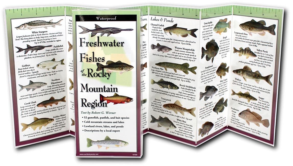 Earth Sky+Water Folding Guide Fish Rocky Mountain Edition