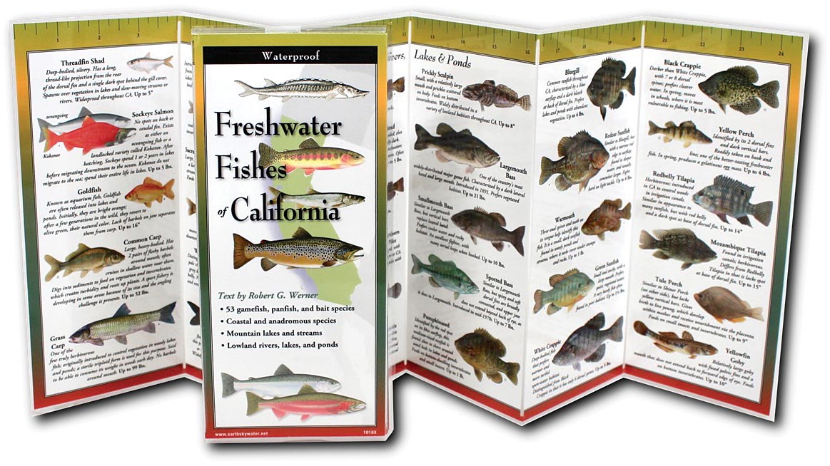 Earth Sky+Water Folding Guide Fish California – Compact Fish Identification Card