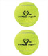 Tennis Balls Green 2 Pack