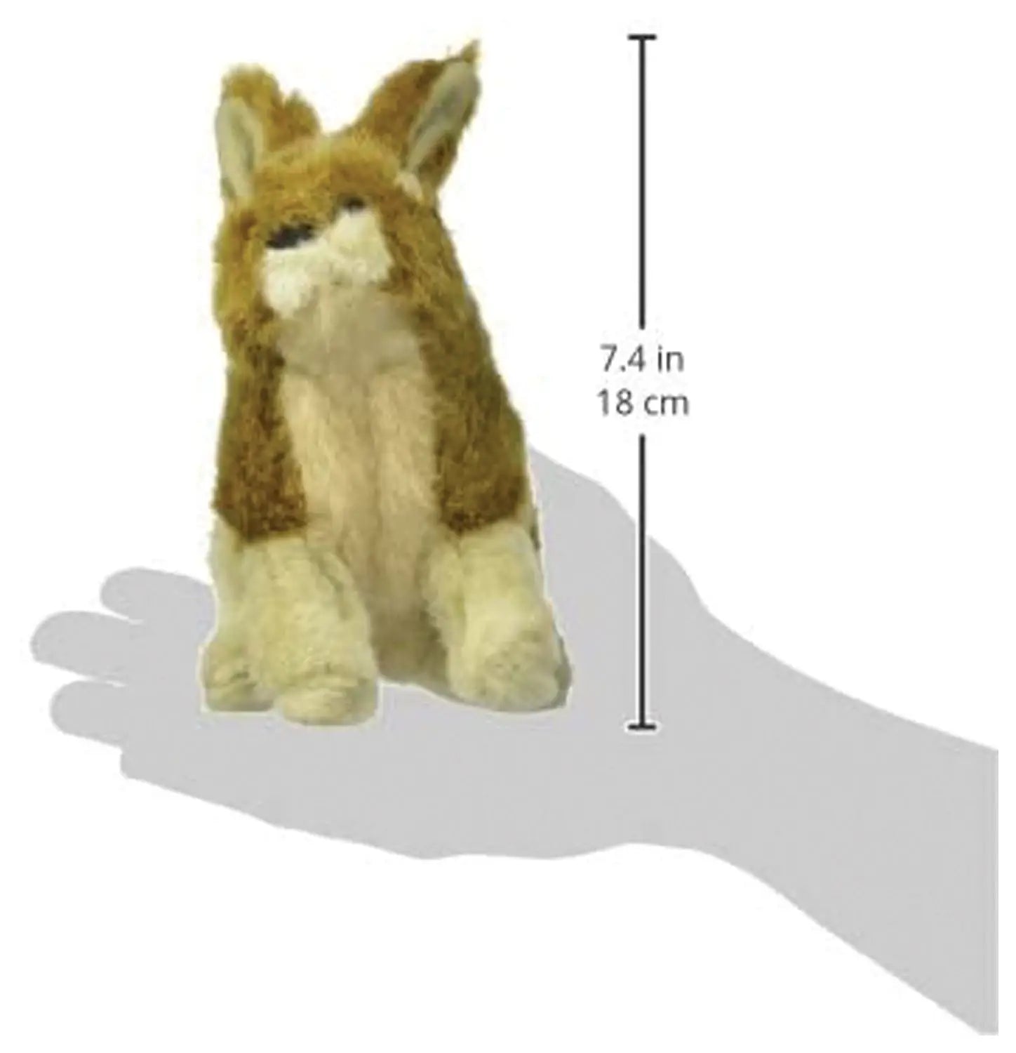 Wildlife Critters Rabbit