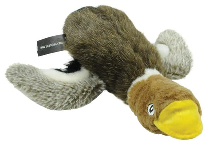 Wildlife Critters Mallard Duck