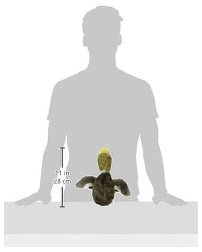 Wildlife Critters Mallard Duck