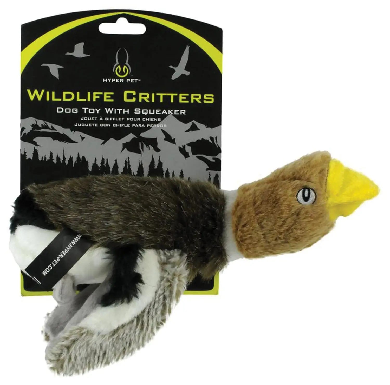 Wildlife Critters Mallard Duck