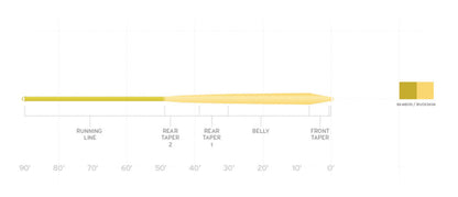 Mastery Infinity Wf3 F Bam/Buck
