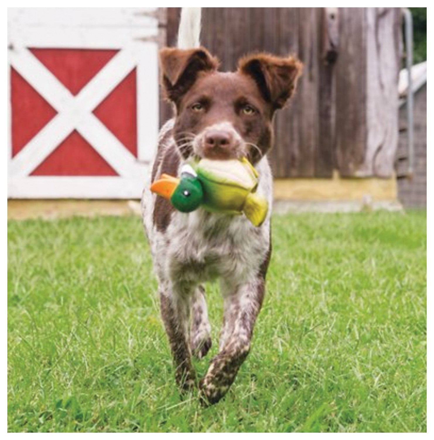 SPORTSMEN Late X Meeze Duck - Premium Quality Outdoor Gear