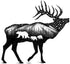 The Elk