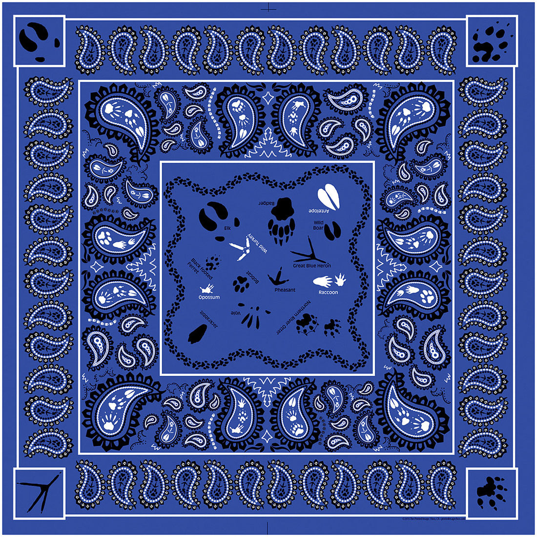 Paisley Tracks