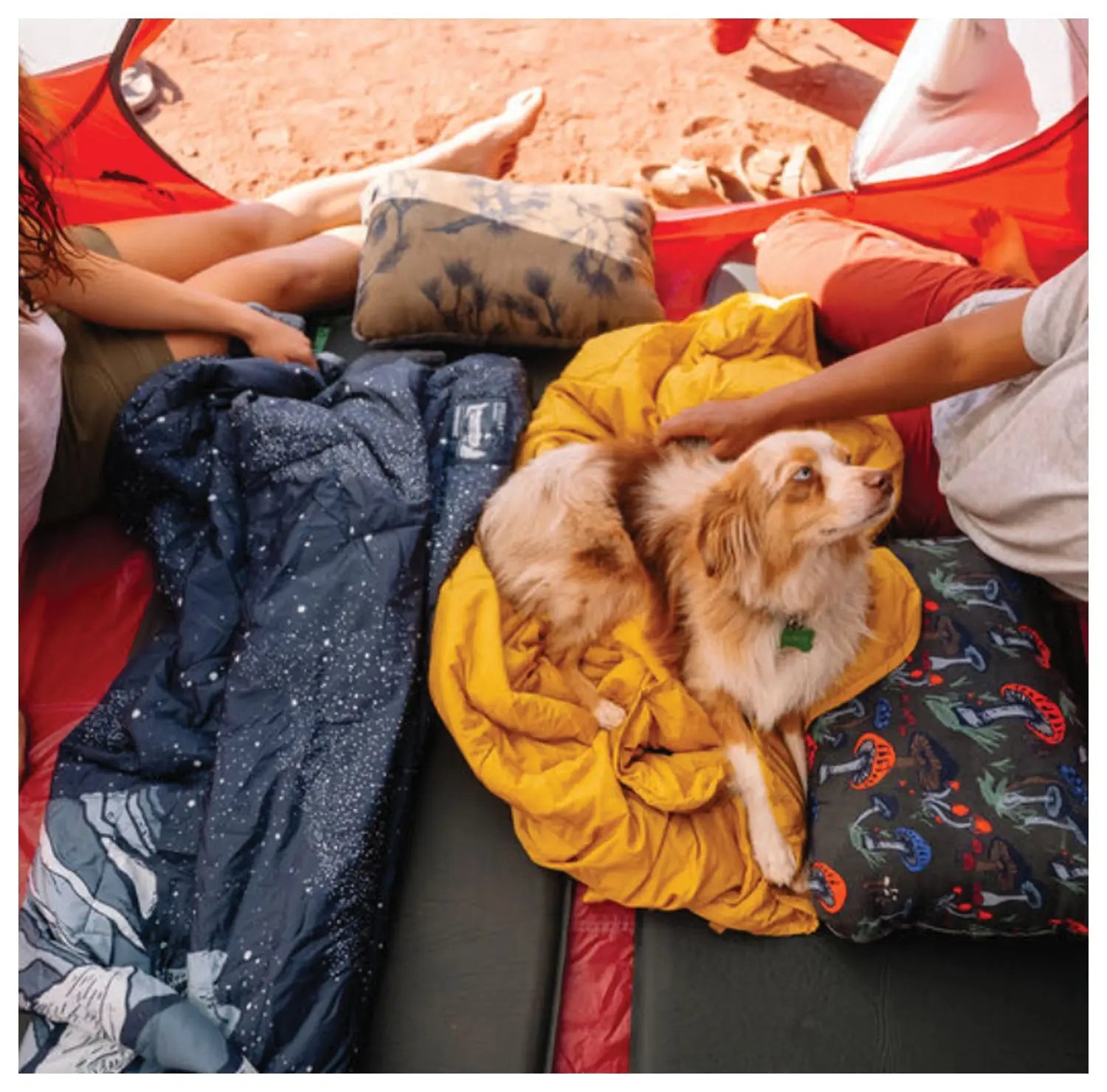 Stellar Blanket Sgl Wheat