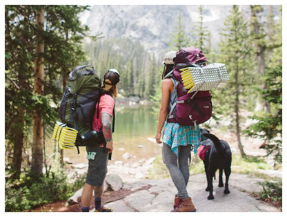 Z Lite Sol R Limon/Silver