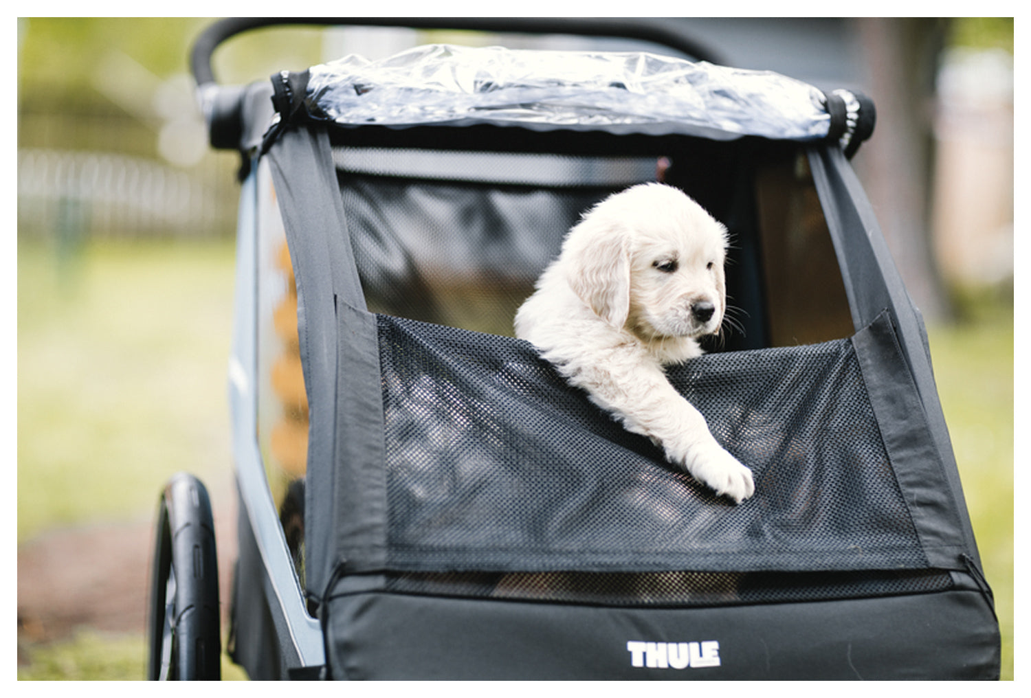 Thule Courier Pet Kit - Comfortable and Secure Travel for Pets
