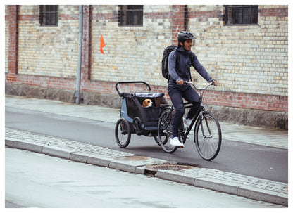 Thule Courier Pet Kit - Comfortable and Secure Travel for Pets