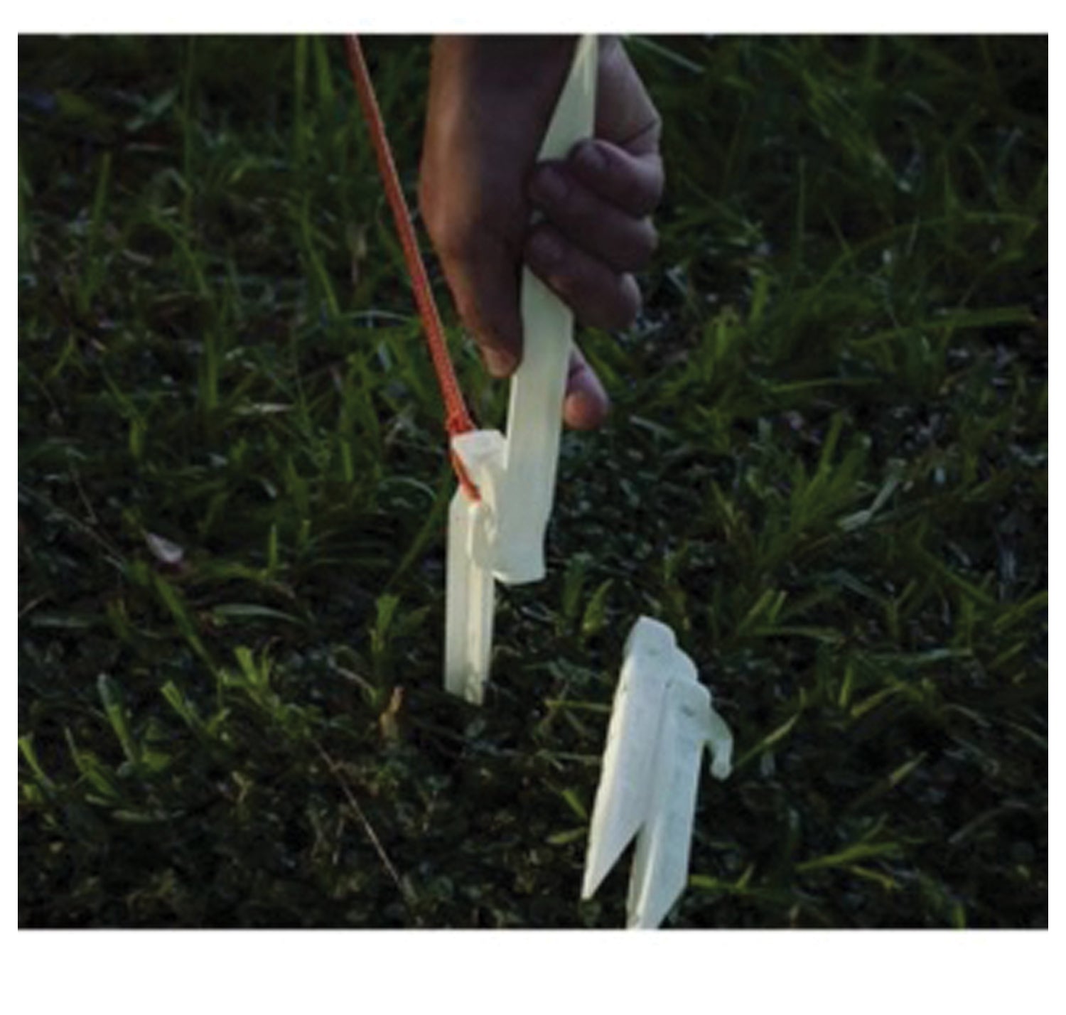 Zin X Tent Peg 9"   6 Pk