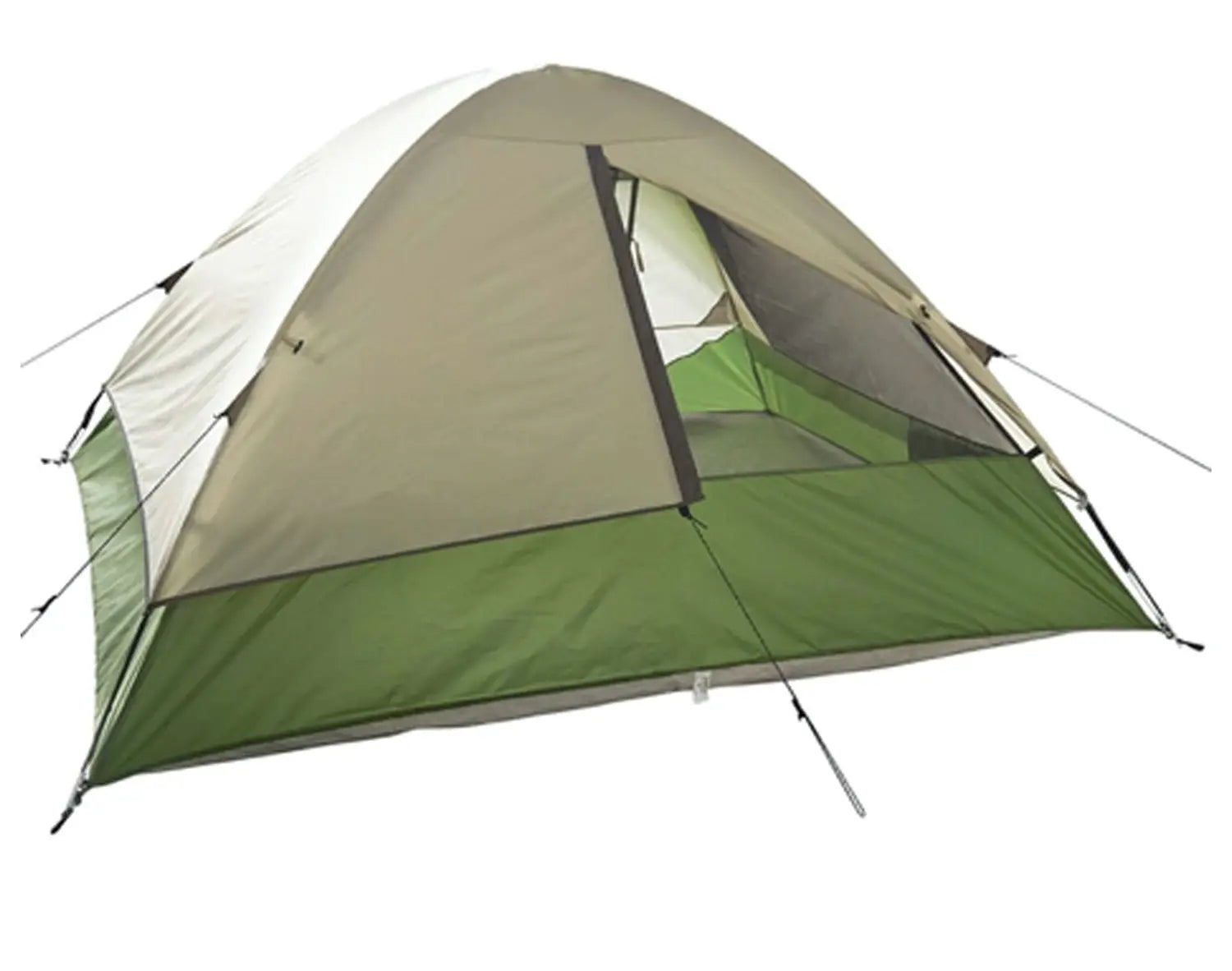 Jack Pine 4 Person Dome Fern