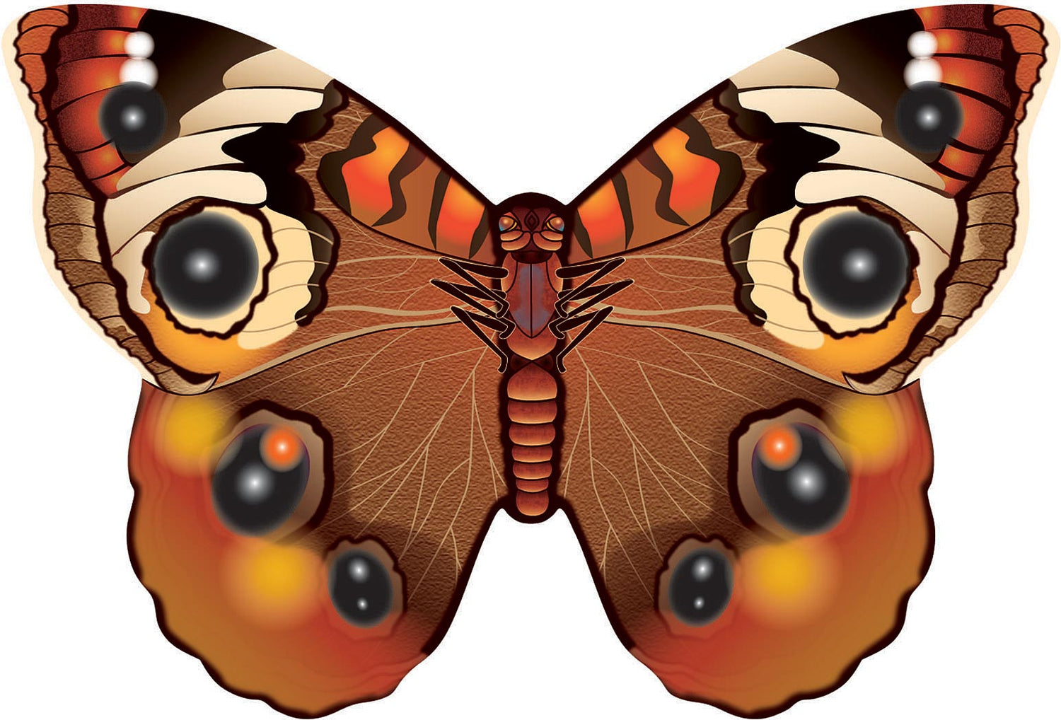 Microbutterfly   Buckeye