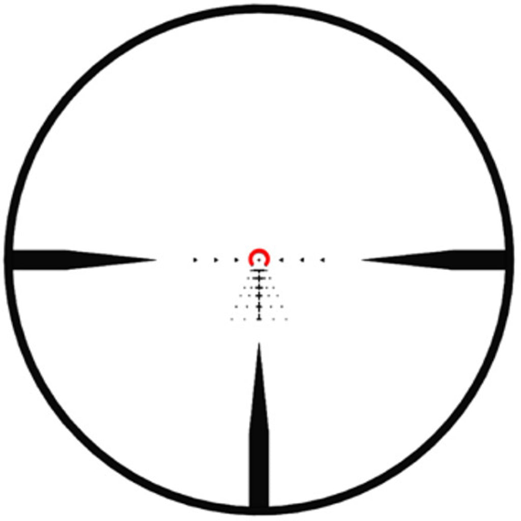 273747125.jpg