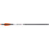 Wicked Ridge Match 400 Alpha-Nock Carbon Arrows 20 in. 6 pk.