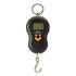 Carbon Express Bow Scale - Precision Weighing Tool for Archery Enthusiasts