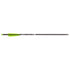 Bear X TrueX Max Crossbow Bolts 20 in. 6 pk.