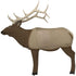GlenDel 1/2 Size Elk Target - Durable & Versatile Archery Target