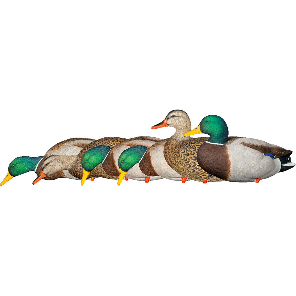 Avian-X AXP Fusion Duck Decoys Mallards 6 Pack