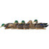 Avian-X Top Flight Duck Decoys Early Season Mallards 6 Pack