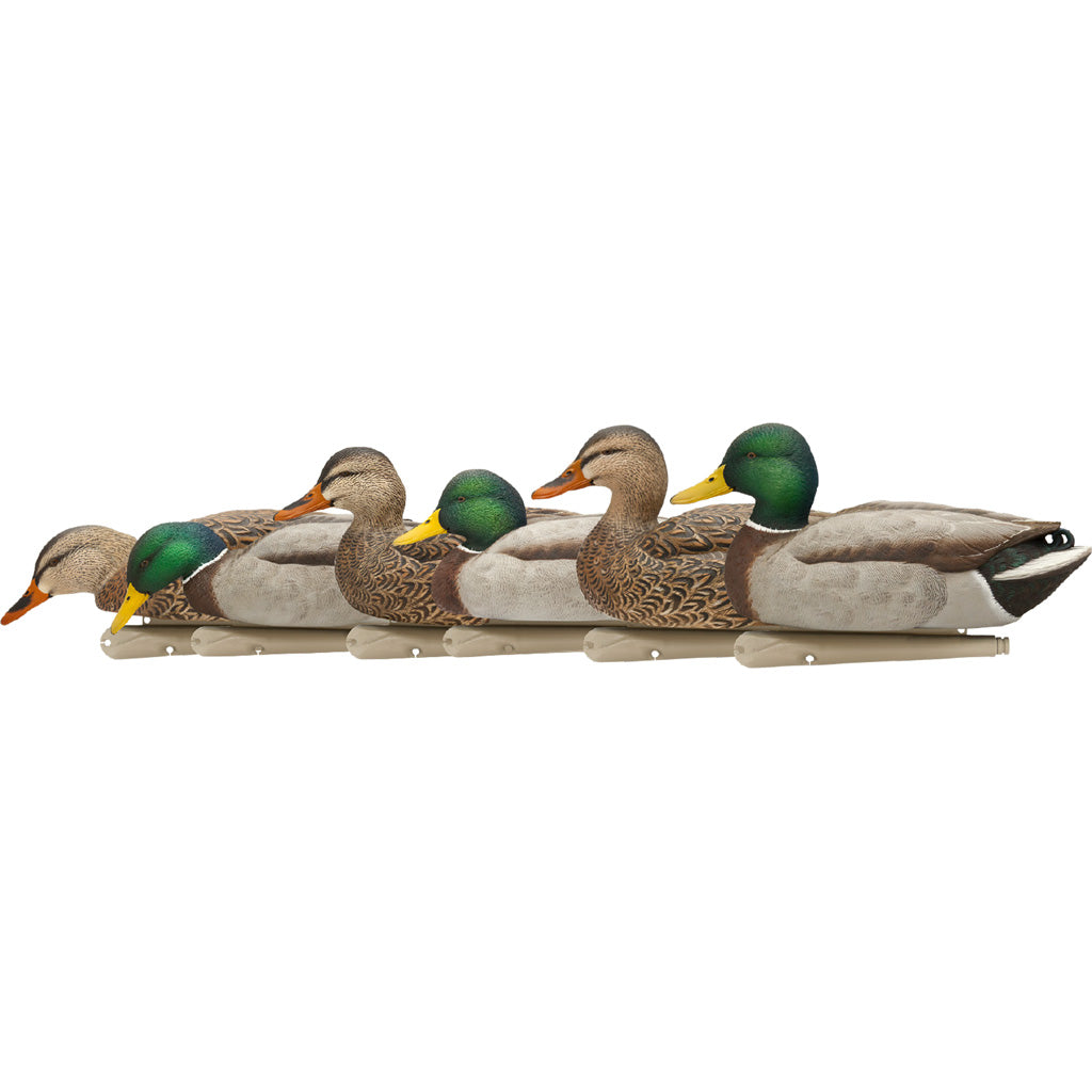 Avian-X Top Flight Duck Decoys Fusion Mallards 6 Pack - Realistic Hunting Gear