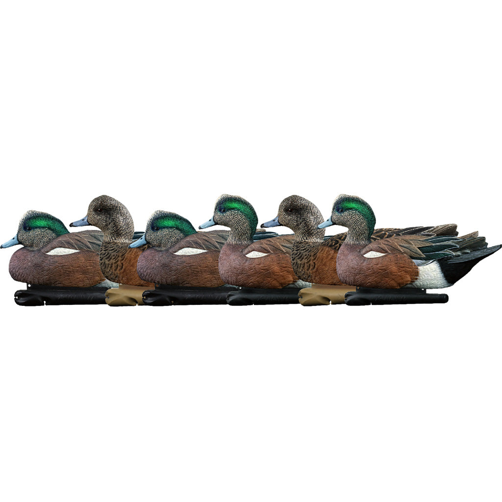 Avian-X Top Flight Duck Decoys Wigeon 6 Pack - Realistic Wigeon Duck Decoys