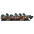 Avian-X Top Flight Duck Decoys Wigeon 6 Pack - Realistic Wigeon Duck Decoys
