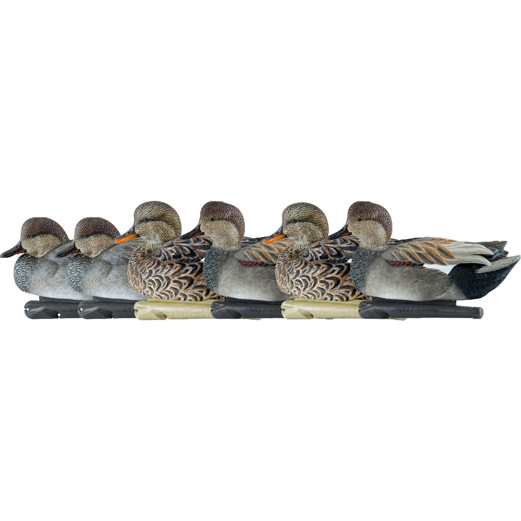 Avian-X Top Flight Gadwall Duck Decoys 6 Pack - Realistic Design