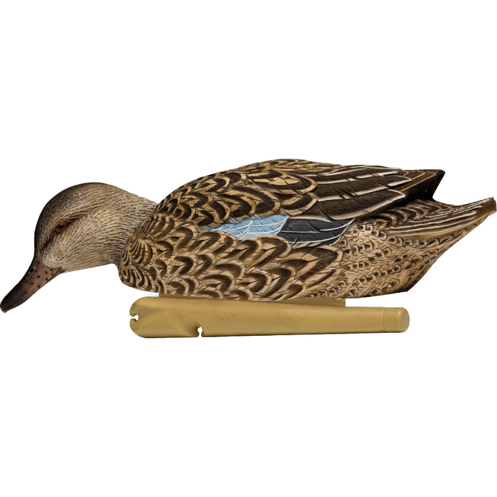 Avian-X Top Flight Duck Decoys Blue-Winged Teal 6 Pack - Realistic Hunting Decoys