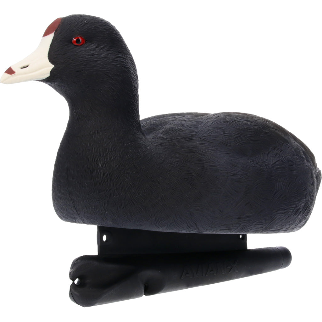 Avian-X Topflight Floating Decoy Coot - Realistic Late Season Decoy