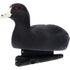 Avian-X Topflight Floating Decoy Coot - Realistic Late Season Decoy