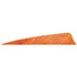 Gateway Shield Cut Feathers Tre White/Orange 4 in. RW 50 pk.