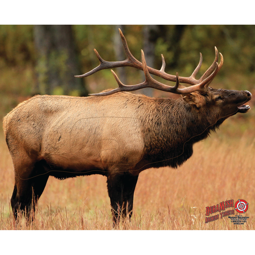 DuraMesh Archery Target Elk - Part Number 80234