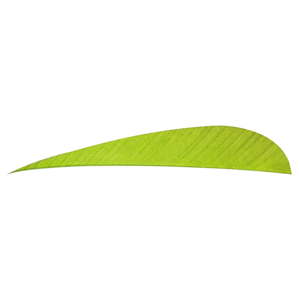 Trueflight Parabolic Feathers Chartreuse 4 in. RW - 100 Pack