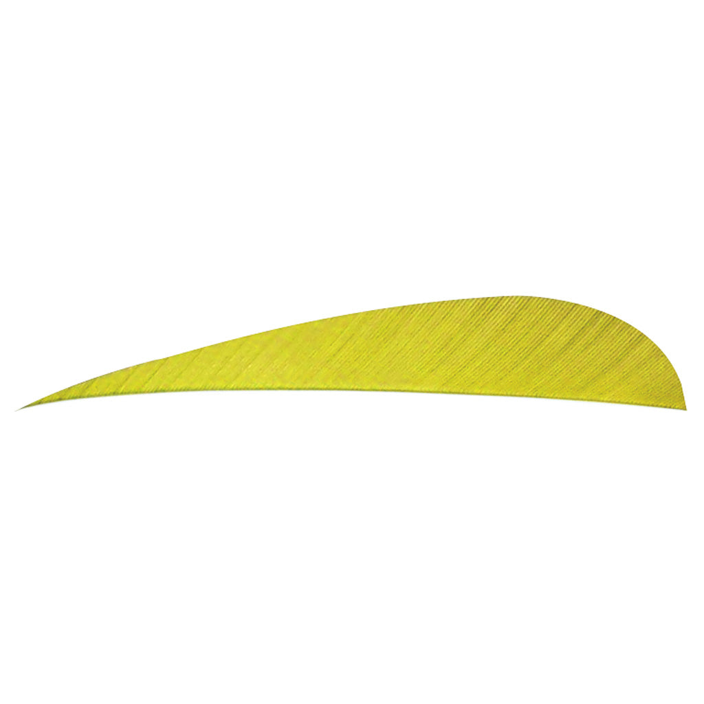 Trueflight Parabolic Feathers Yellow 4 in. LW - 100 Pack