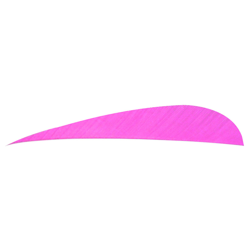 Trueflight Parabolic Feathers Pink 4 in. LW - 100 Pack