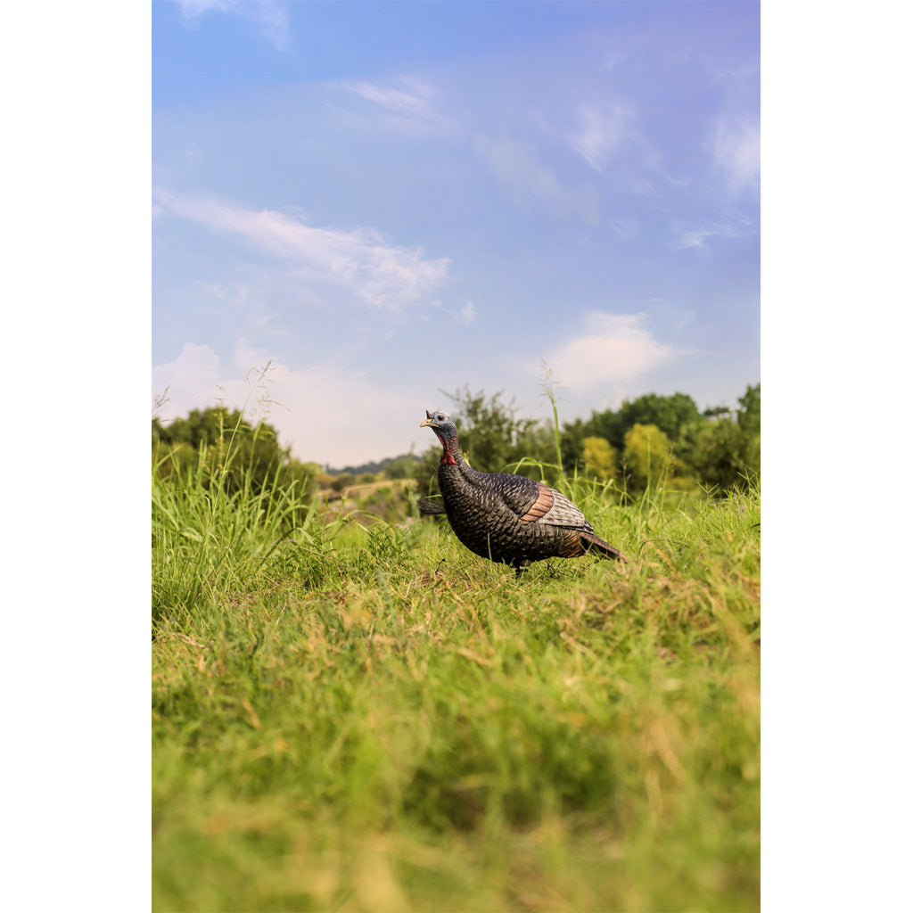 Flextone Thunder Jake Turkey Decoy - Realistic Sub-Dominant Pose for Effective Hunting