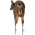 Montana Decoy Deer Rump Decoy - Lightweight & Packable