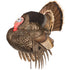 Dave Smith Decoys Strutter Decoy