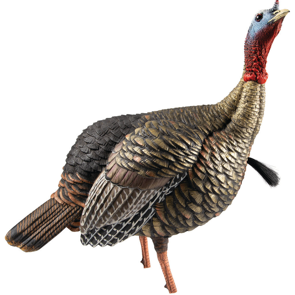 Avian X HDR Jake Decoy
