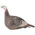 Hunters Specialties Strut-Lite Turkey Decoy Hen - Lightweight and Realistic