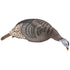 Hunters Specialties Strut-Lite Turkey Decoy Feeding Hen - Lightweight & Realistic