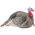 Hunters Specialties Strut-Lite Turkey Decoy Jake