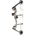 Bear Archery Limitless RTH Package God&