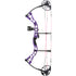 Diamond Prism Bow Package Purple 18-30 in. 5-55 lbs. LH